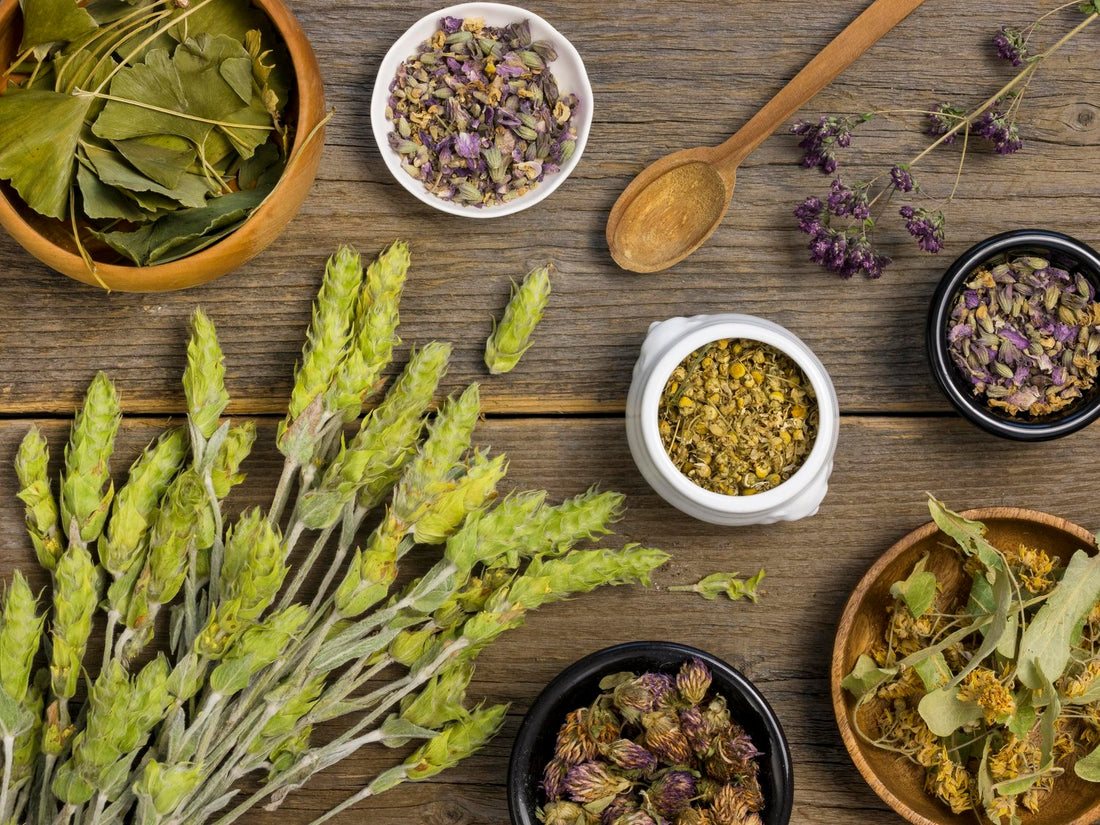 🌿 Sip the Season: 5 Herbal Allies for Spring Renewal