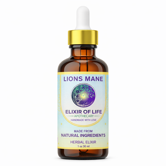 Lion’s Mane Tincture – Cognitive Clarity & Nervous System Support