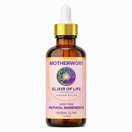 Motherwort Tincture – For when your nervous system and hormones need grounding