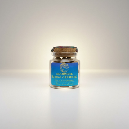 🌿 MOODMUSE — RITUAL CAPSULES